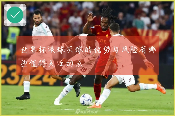 世界杯滚球买球的优势与风险有哪些值得关注的点