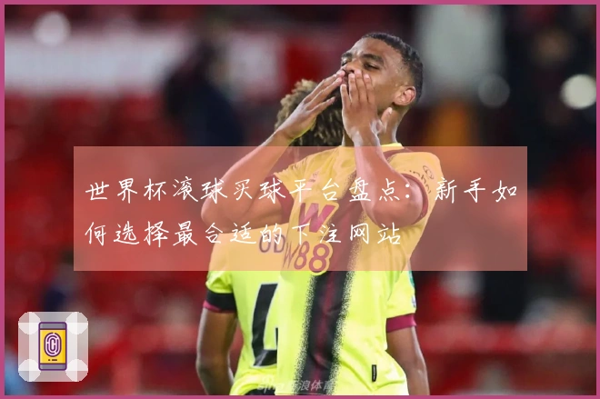 世界杯滚球买球平台盘点：新手如何选择最合适的下注网站