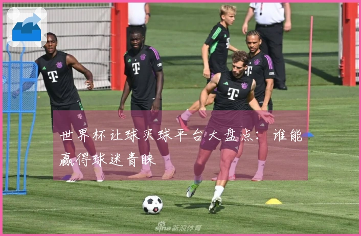 世界杯让球买球平台大盘点：谁能赢得球迷青睐