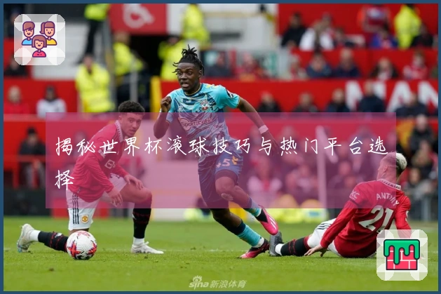 揭秘世界杯滚球技巧与热门平台选择