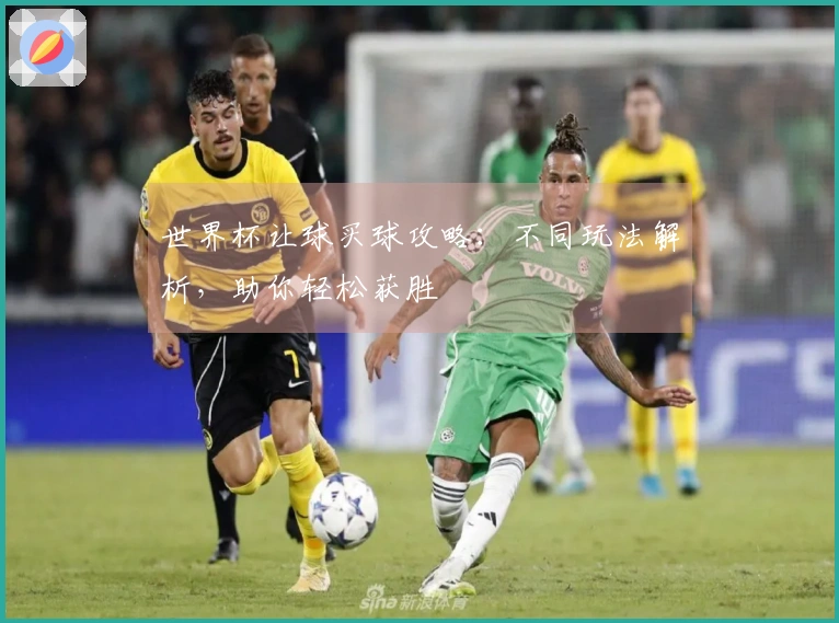 世界杯让球买球攻略：不同玩法解析，助你轻松获胜